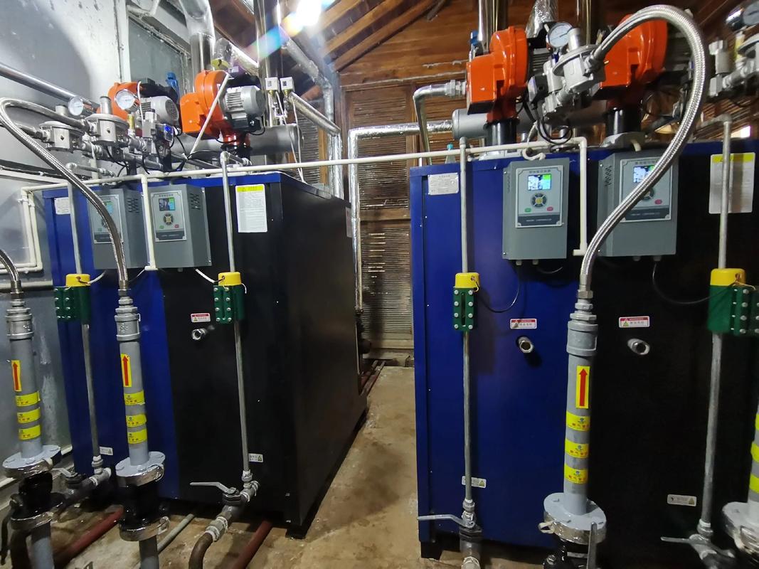 安装燃气蒸汽发生器需要哪些专业资质？(图1)