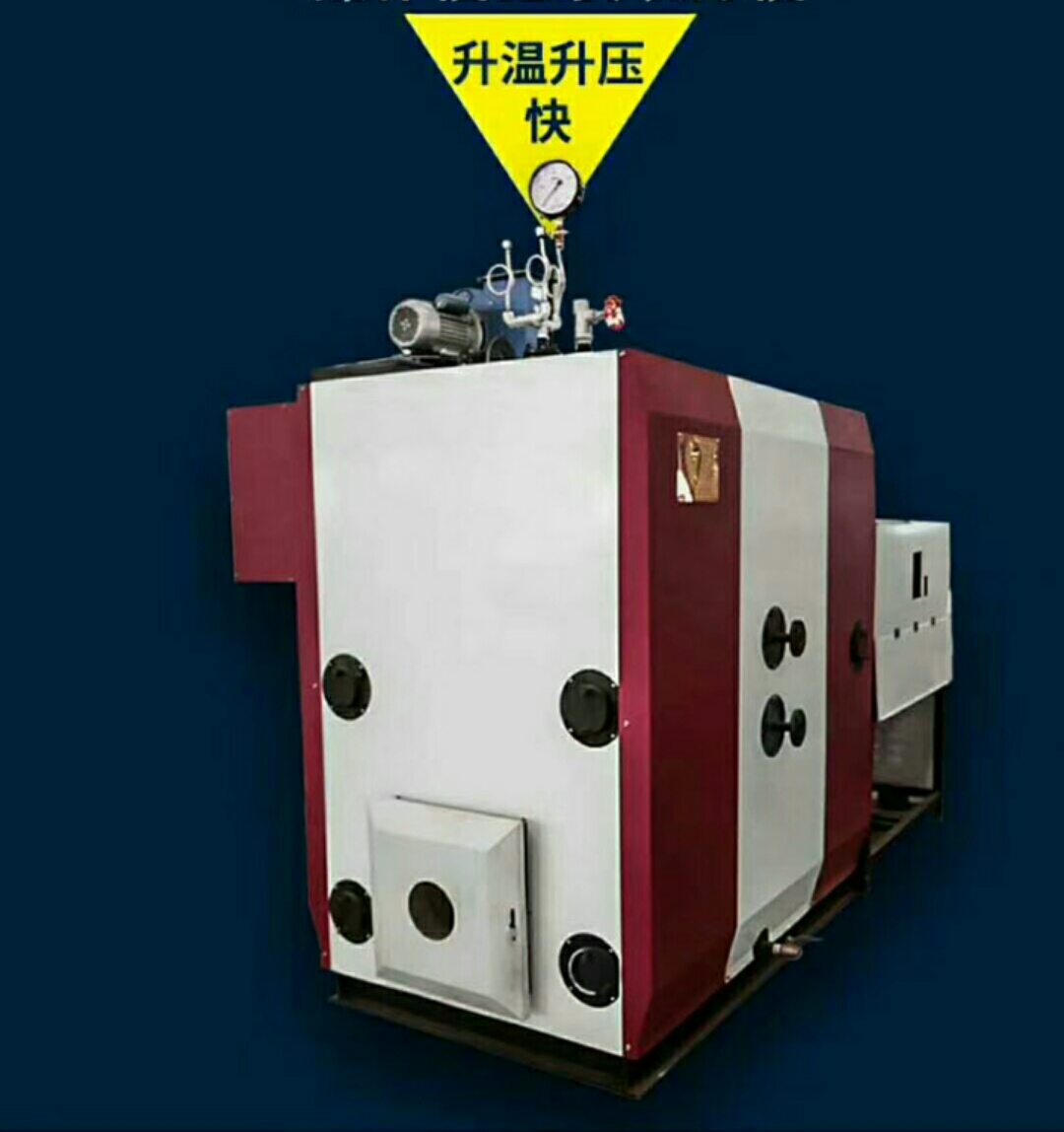 生物质燃料蒸汽发生器1