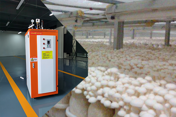 电加热<a href='http://www.zzjkjd.com/zhengfaqi/'>蒸汽发生器</a>