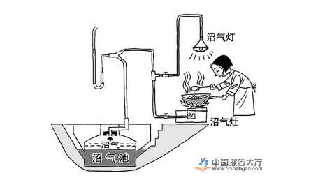 中国生物质能行业2017年发展趋势(图1) 中国生物质能行业2017年发展趋势(图1)