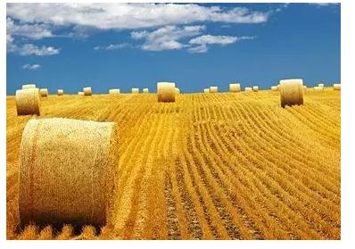 秸杆产业化渐行渐近 战略定位仍需进一步明确(图1)