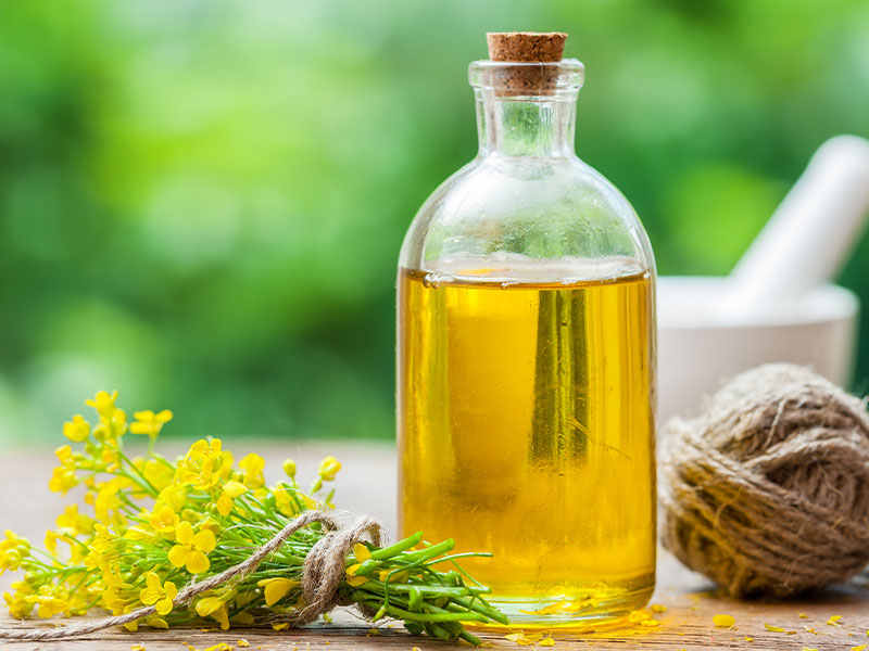 蒸汽发生器如何作用于榨菜籽油呢？(图2)