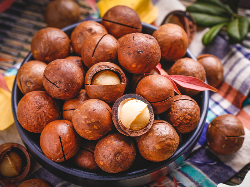 蒸汽发生器在夏威夷果烘干时有怎样的作用？(图4)