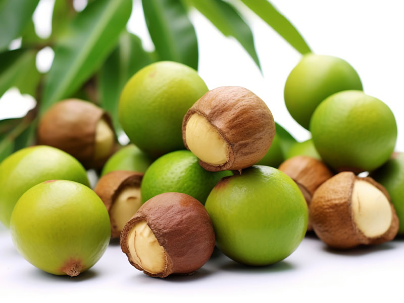 蒸汽发生器在夏威夷果烘干时有怎样的作用？(图3)