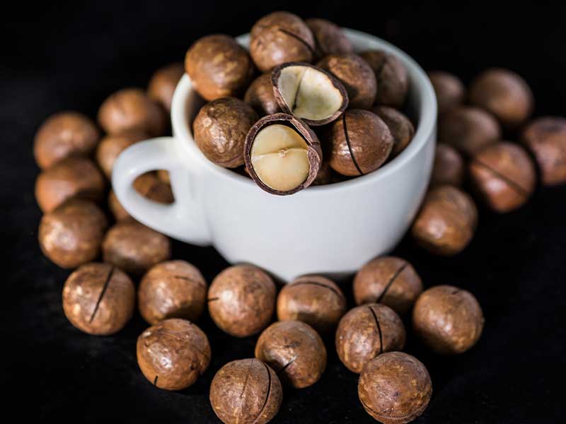 蒸汽发生器在夏威夷果烘干时有怎样的作用？(图1)