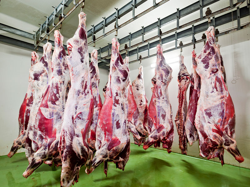 屠宰场脱毛时，蒸汽发生器能产生怎样的作用？(图2)